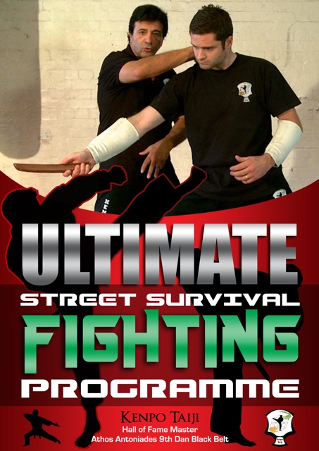 Ultimate Street Fight Poster